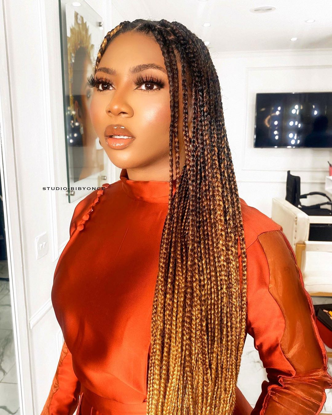 Want Summer Box Braid Inspiration? These Are The Looks to Try According to  Stephanie Coker Aderinokun And Blue Mbombo